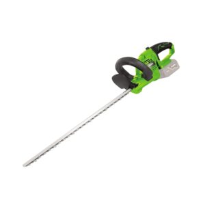 TAILLE-HAIE SANS FIL 20V